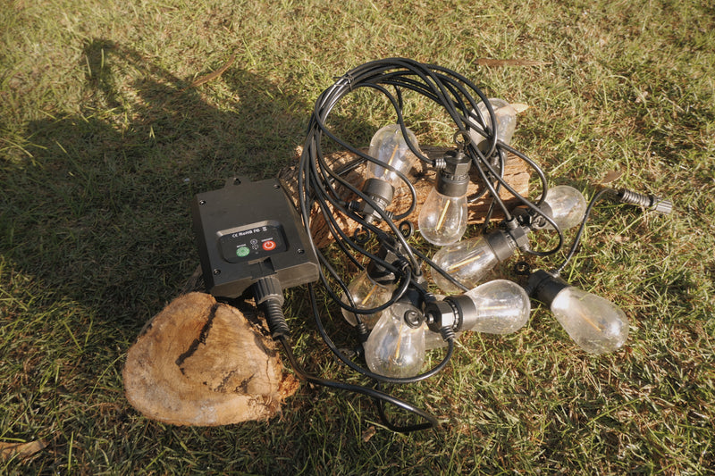 String of outdoor lights with a swtich on grass
